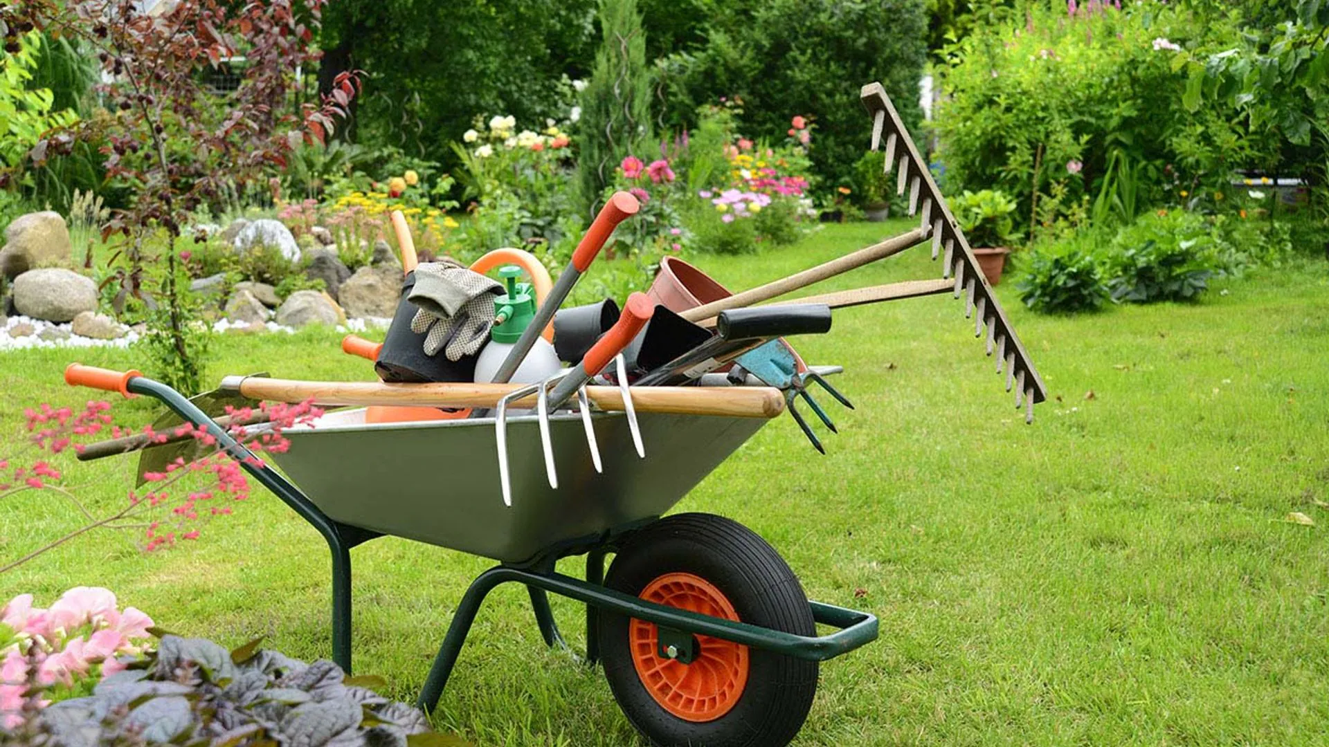 La trampa del material compartido en jardinería: lo que otras empresas no te cuentan